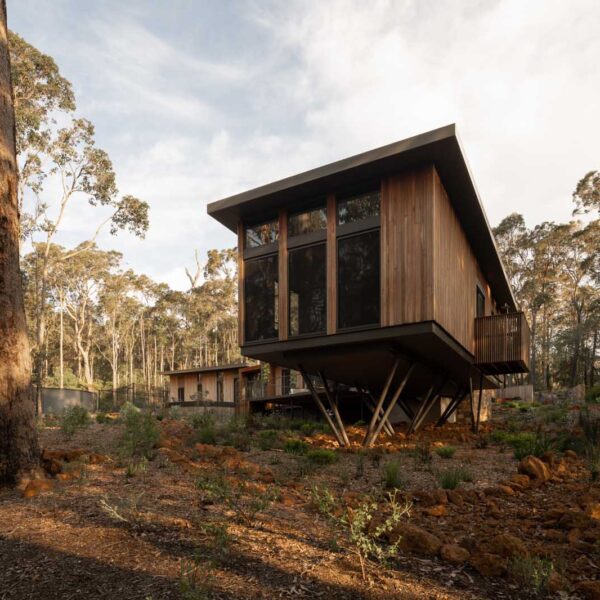 20221027_Treehouse_Ashton_SHA_DR-266_LR